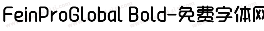 FeinProGlobal Bold字体转换